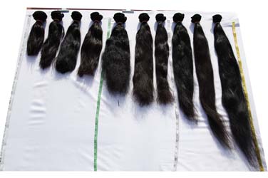Human Hair exporters India, Human Hair manufacturers, Human Hair suppliers
